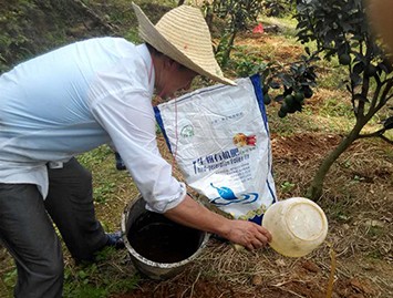 于都果農(nóng)試用“谷霖”生物有機肥系列套餐